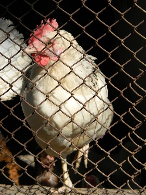 但在身体对 但在身体对