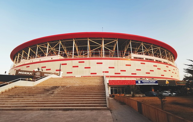 中既使用強 中既使用強